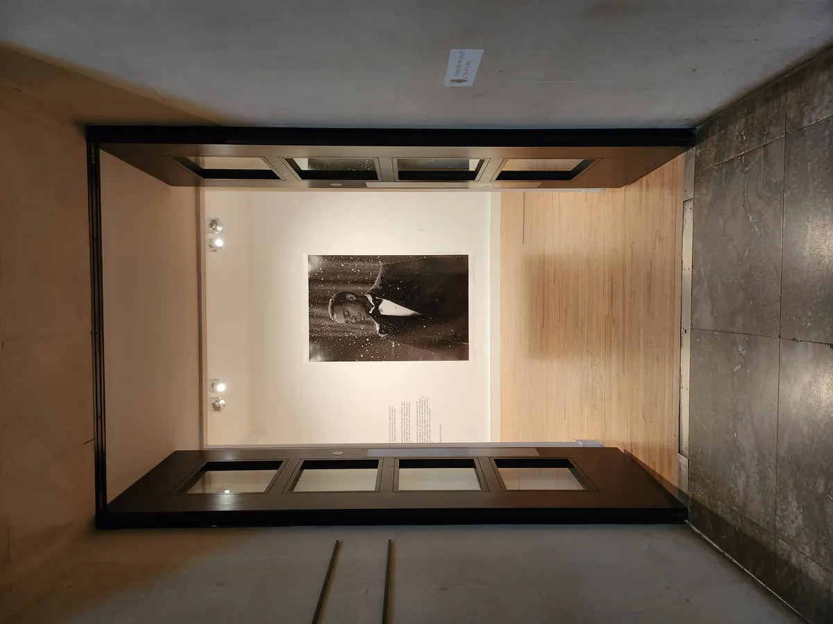Isaac Julien Gallery Image 2